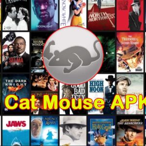 Cat Mouse APK