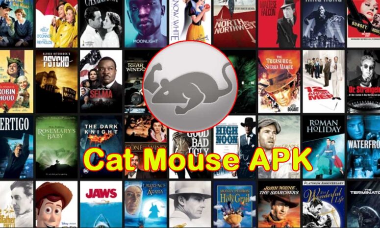 Cat Mouse APK