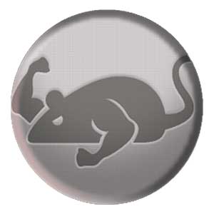 Download Cat Mouse APK